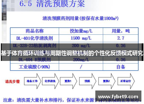 基于体育循环训练与周期性调整机制的个性化反馈模式研究