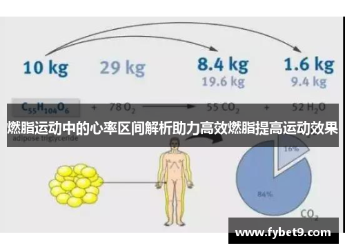 燃脂运动中的心率区间解析助力高效燃脂提高运动效果